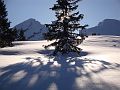 023_Selun_Dez-2011