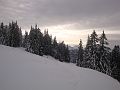 023_Stockberg_2011