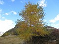 039_Passo_Campolungo_Oktober_2015