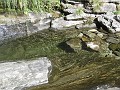 077_Madom_da_Sgiof_Passo_Deva_09-2016