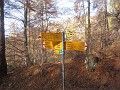 002_Monte_Boglia_November_2021