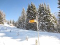 010_Fanenstock_Dez-23
