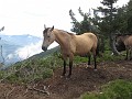 023_Tamaro-Lema_Juli-23