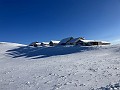 010_Kamor_Dez-24